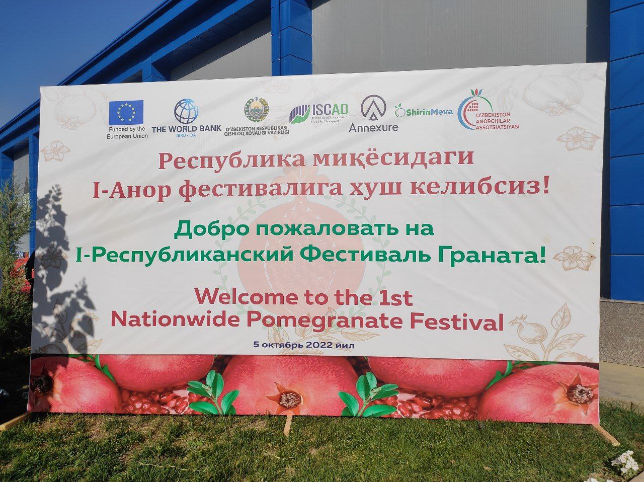 anor_festival.jpg